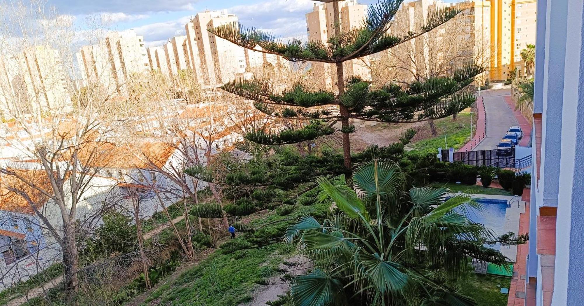 Playamar Apartamento *